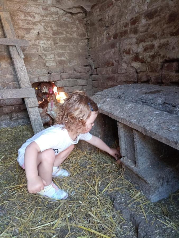 Gite A La Ferme Chez Magali Escaudoeuvres Buitenkant foto