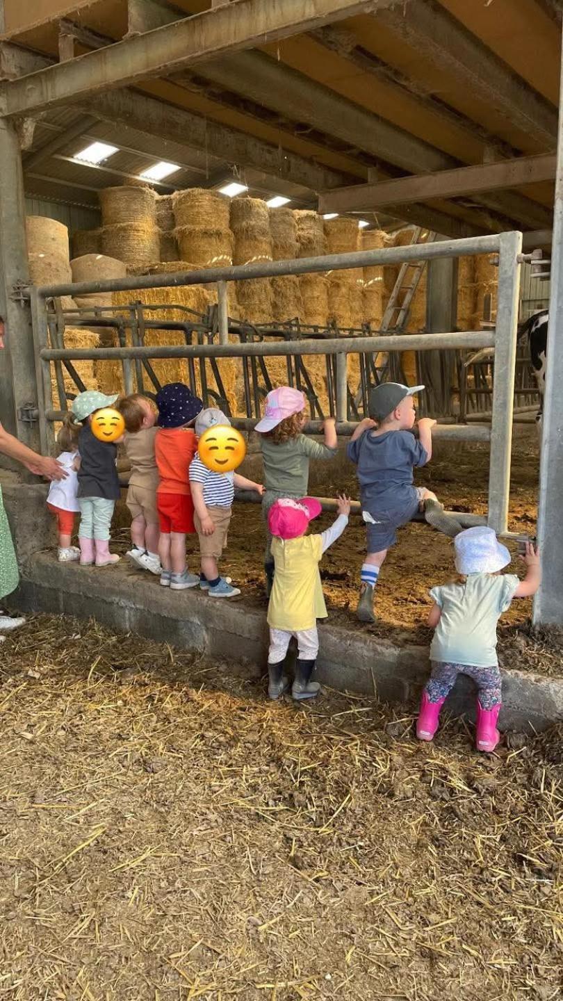 Gite A La Ferme Chez Magali Escaudoeuvres Buitenkant foto